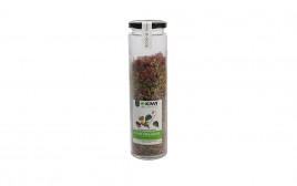 Kiwi Kisan Window Paan Melange   Pack  160 grams